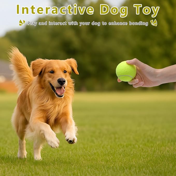 Magicorange 6 Pack Small Tennis Balls, 2 inch Tennis Balls for Dogs,Colorful Easy Catching Pet Playing Ball(Yellow, 6 Pack)