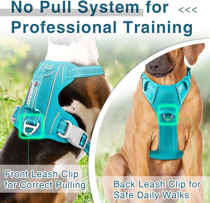 BARKBAY Dog Harness No Pull with ID Tag Pocket - Heavy Duty, Reflective, Easy Control for Small Dogs(Ocean Blue,S)