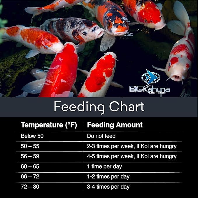 BIG Kahuna Koi Fish Food- 1lbs Food – Made in The USA - Koi Food Floating Pellets – 3/16" - 1/4" Pellet Size – 32% Protein Fish Food – Rich in Nutrients