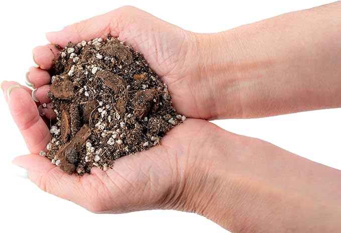 Premium Aroid Potting Mix - Soil Free Blend for Aroids - Growing Medium for House Plants by Gardenera - (3 Quart Bag)