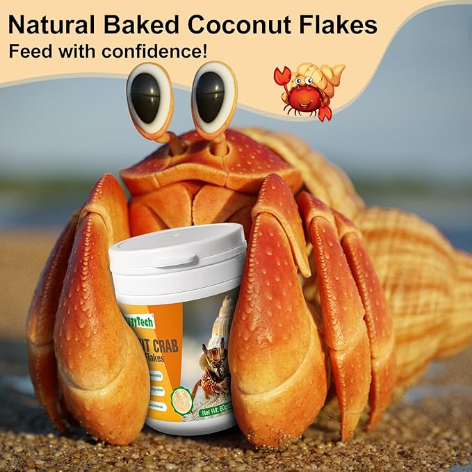 Hermit Crab Food - Baked Coconut Treat, Natural Dried Coconut for Crab Healthy & Additive Free, Easily Digestible Hermit Food Hermit - Ideal Crab Pet Snacks, Crispy & Delicious | 60g (Big)