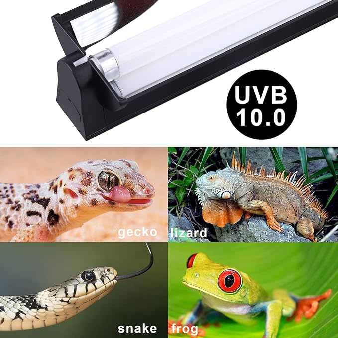 Aiicioo T5 UVB Lighting Combo Kit - 12" Light Fixture Desert 10.0 Terrarium Hood Light Fixture & High Output T5 HO UVB Bulb for Reptiles Chameleon Gecko (watts, 8)