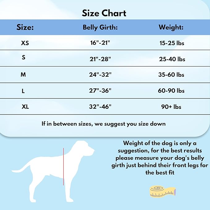 ShawnCo Dream Walk No-Pull Dog Harness- Adjustable, Comfortable, Easy to Use Pet Halter to Help Stop Pulling for Small, Medium and Large Dogs (Seafoam, L)