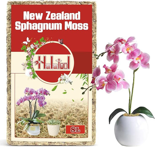 Halatool Premium New Zealand Sphagnum Moss, 100g(8L When Hydrated), for Orchid Repotting Succulent Sarracenia Potted Plants Gardening & Reptiles