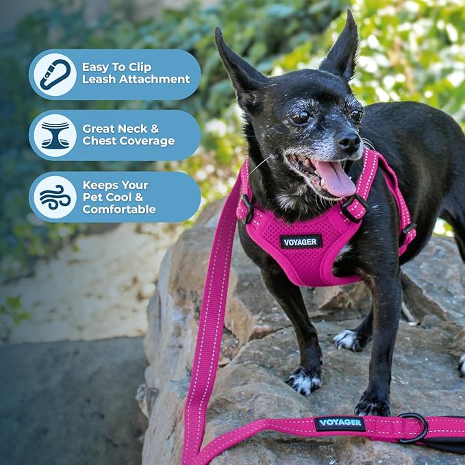 Best Pet Supplies Voyager Mesh Dog Breathable Harness Reflective Stitching, All Weather Adjustable for Walking Training, or Running - Heavy Duty & Durable, Harness Leash Set (Fuchsia), M