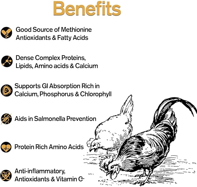 Naturally Fortified Flock Booster - Concentrated Protein and Flora Supplements Suitable for Hens and Ducks, Hand Mixed USA Grown Ingredients – Vitale Molt & Laying – 16oz