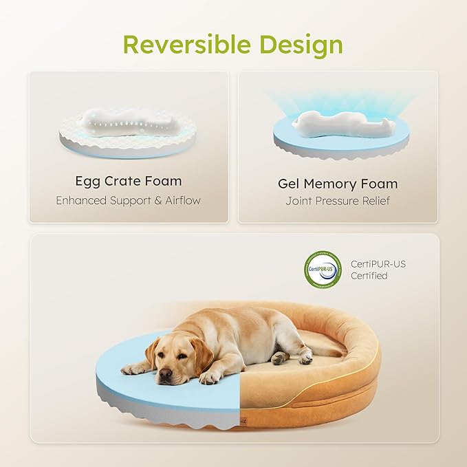 Jumbo Orthopedic Dog Bed, Big Dog Beds for Extra Large Sized Dogs with Full-Surround Bolsters, Dual-Sided Dog Cooling Bed with Memory Foam, Washable Pet Sofa Couch with Nonslip Bottom, Brown
