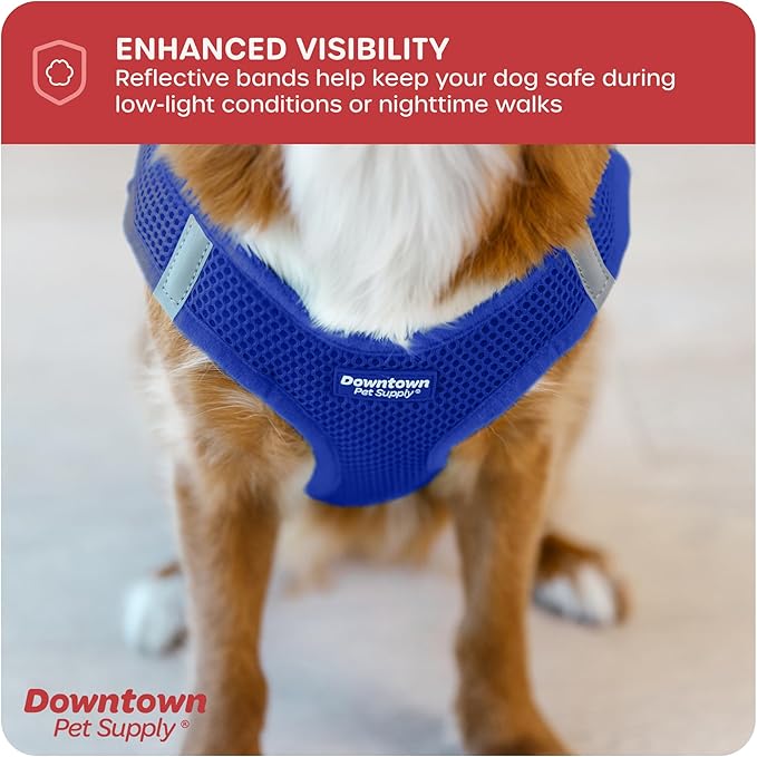 Downtown Pet Supply Step-in Dog Harness – No Pull, Adjustable Padded Mesh with Reflective Trim, Secure Buckle Strap – Comfortable & Breathable Small Dog Harness, Small, Blue