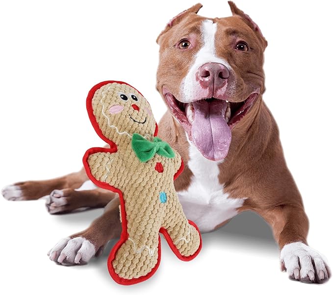 ALL FOR PAWS Dog Squeaky Toys Christmas Dog Gifts Toys Enrichment Fetch Toys Holiday Birthday Gift for Medium to Large Dogs