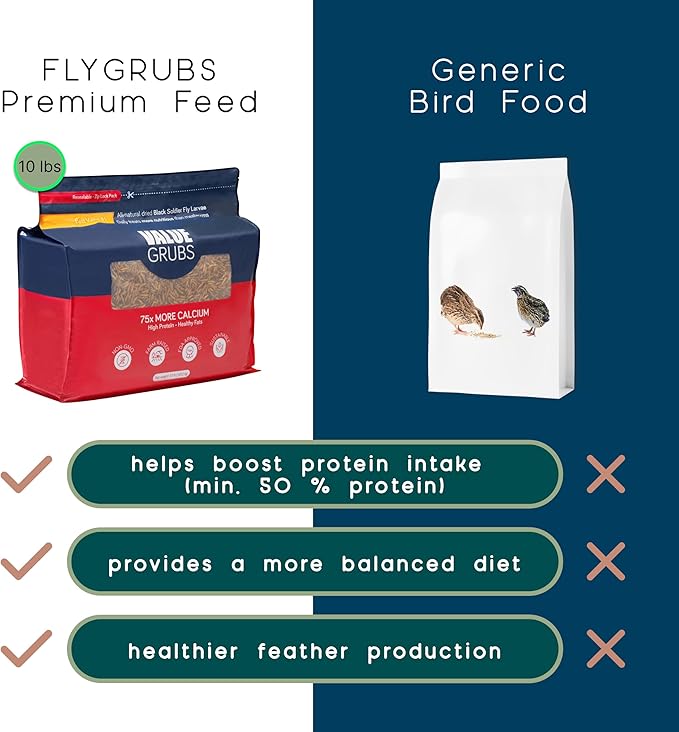 Better Than Dried Black Soldier Fly Larvae for Chickens - 10 lbs Non-GMO - 75X More Calcium Than Meal Worms - Poultry Feed Molting Supplement - Farm Raised High Protein - Resealable Bag