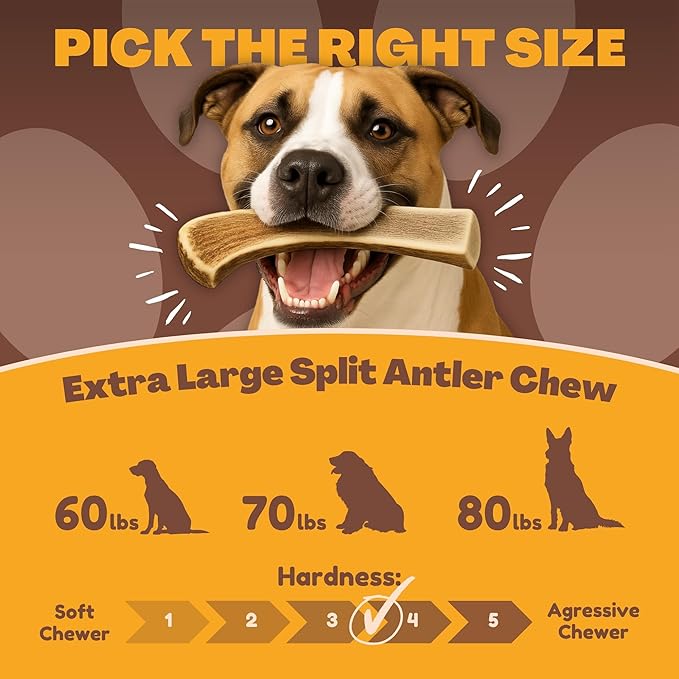 WhiteTail Naturals - Premium Split Elk Antlers for Large Dogs - (Extra Large-1Pack) - Elk Horn Dog Chews - Naturally Shed, Antler Chew Bone - Long Lasting, Crafted in USA