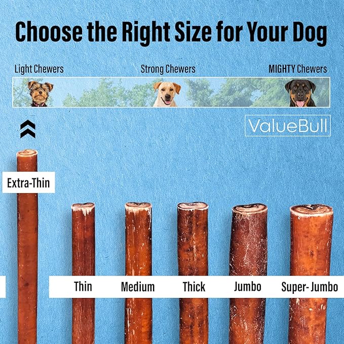 ValueBull Bully Sticks for Small Dogs, Extra Thin 6 Inch, 50 Count - All Natural, Grass Fed, Single Ingredient, Long Lasting Dog Treats
