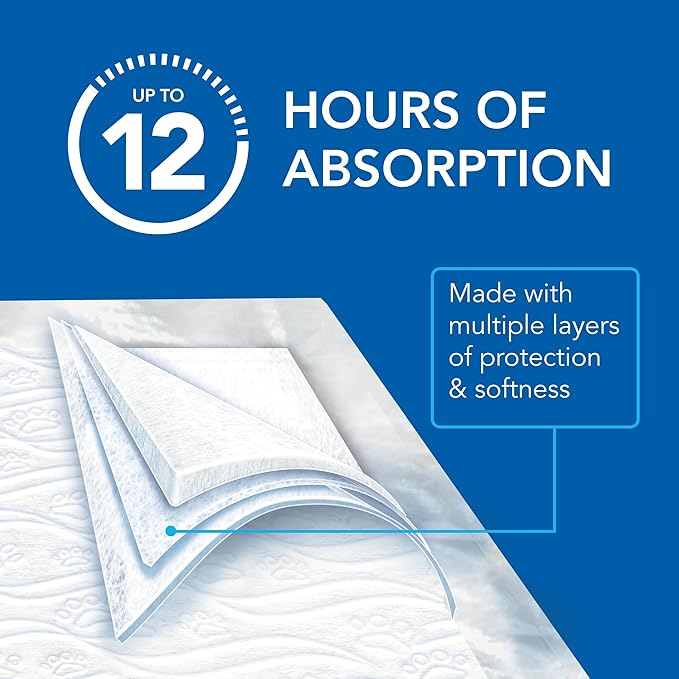 Scott Pet Guard Dog Pads - Size Large - 22" x 22" - 50 Pack of Pet Pads