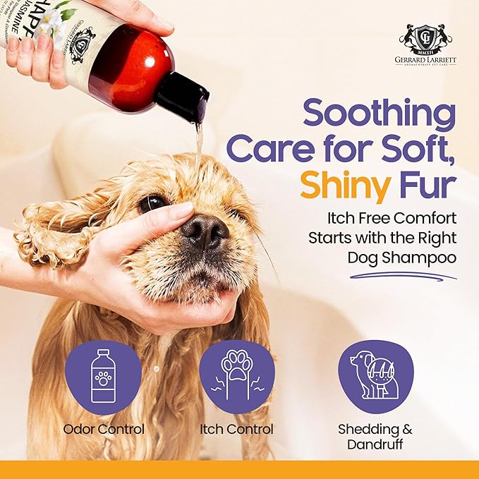 Dog Shampoo and Conditioner Happy Jasmine 16 Fl Oz - Dog Shampoo Itchy Skin Relief, Aromatherapy Natural Dog Shampoo for Smelly Dogs with Aloe Vera & Oatmeal Shampoo for Dogs by Gerrard Larriett