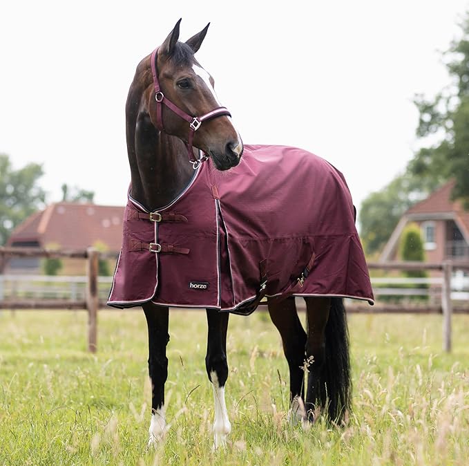 HORZE Glasgow Lightweight Waterproof Horse Turnout Blanket (100g Fill) - Burgundy - 69 in