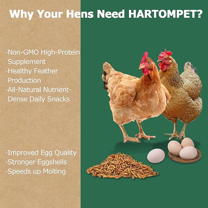 Premium Dried BSF Larvae for Chickens - 10LB High Calcium Supplement, Molting and Laying Support, Non-GMO & High-Protein Treats, Food for Wild Birds, Ducks, Repitle | Top Grade BSF