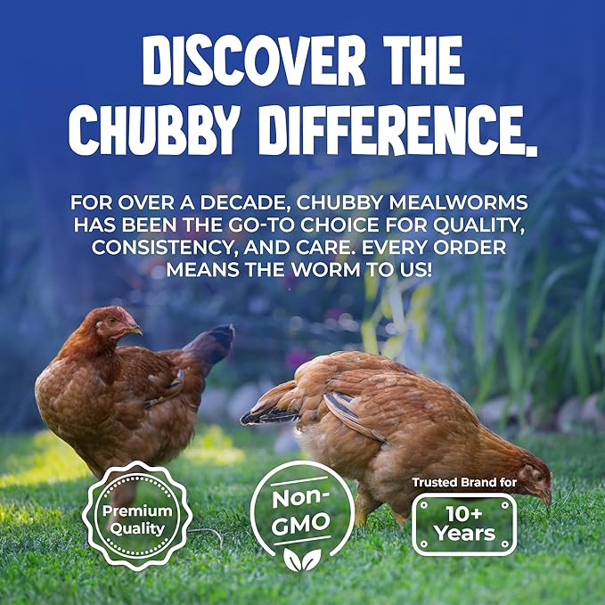 30Lbs Recyclable Box of Chubby North American Grown Dried Mealworms (Non-GMO) - Chicken/Duck Treats