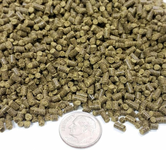 Aquatic Foods Inc. Calcium Blocks Included in These Spirulina Sinking Pellets for Shrimp, Snails, Crabs, Catfish, Plecos for All Tropical Fish 1/16" x 3/8" Pellets by Zeigler…2-lb 8oz Med Jar