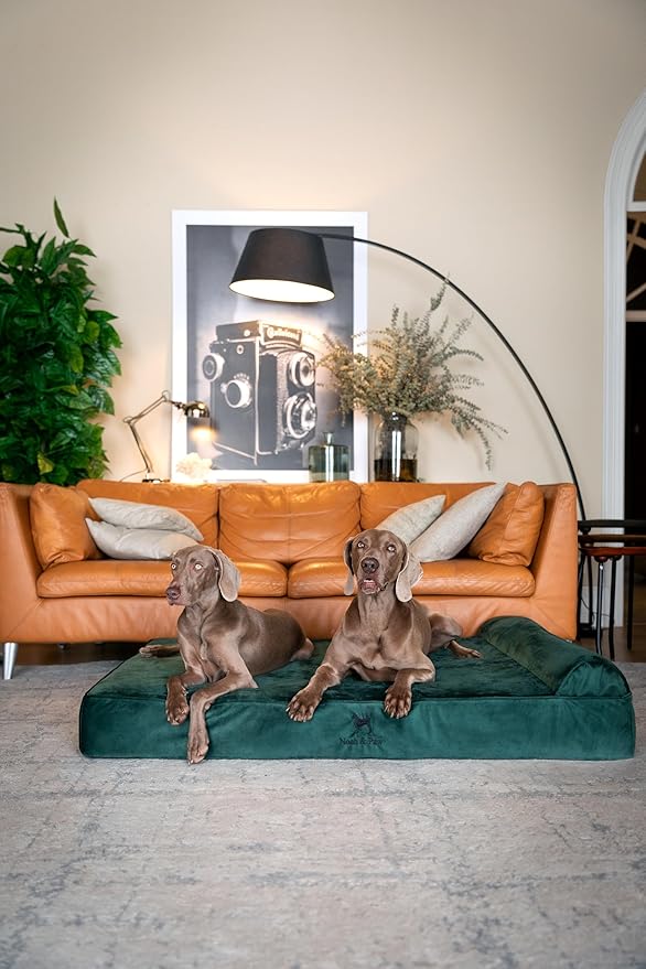 NOAH & PAW Giant Dog Bed XXL 55x45x9.5 Inch, Orthopedic Dog Beds, Eggshell Memory Foam Infused with Cooling Gel, Waterproof, Machine Washable, Includes Inner Cover (Velvet Collection)