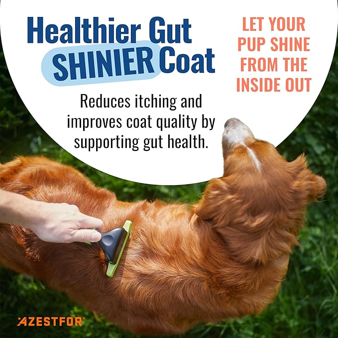 Azestfor Gut Health Supplement for Dogs – 3 in 1 Probiotic, Prebiotic & Postbiotic Blend – Supports Digestion, Immunity & Skin – Easy-to-Use Powder – for All Breeds & Sizes – 60g (30 Servings)