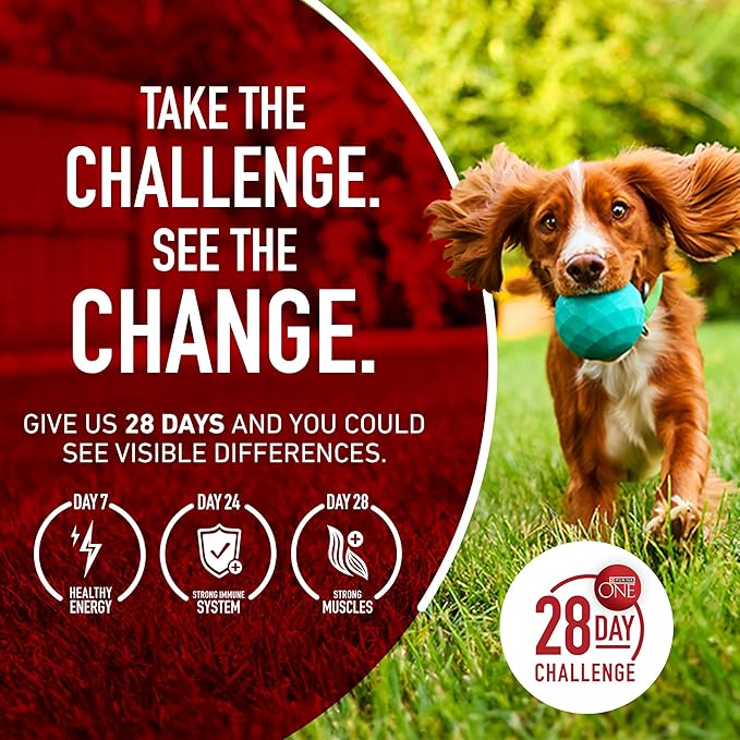 Purina ONE Natural High Protein Dry Dog Food Dry True Instinct with Real Beef and Salmon With Bone Broth and Added Vitamins, Minerals and Nutrients - (Pack of 4) 3.8 lb. Bags