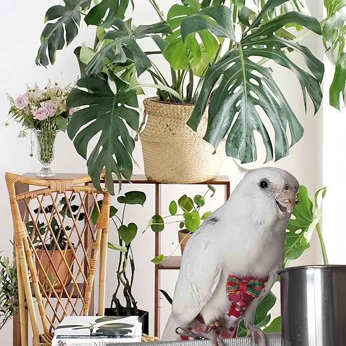 2Pcs Bird Diapers Bird Harness Flight Suits with 80in Flying Leash Reusable Parrot Nappy with Waterproof Inner Layer Urine Wet Suite for Cockatiel Budgie Conure Parakeet Lovebird-Red&White