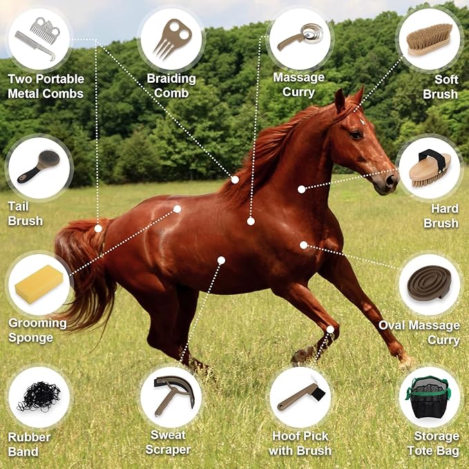 Swess Horse Grooming Kit 14 Piece, Horse Brushes for Grooming & Bathing Supplies Set, Professional Horse Supplies with Mane & Tail Comb, Curry Comb, Hoof Pick, Gloves & Mesh Tote Bag for Equine Care