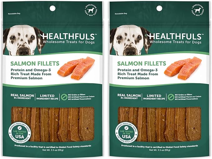 HEALTHFULS Salmon Fillet Dog Treats, 3.5oz (Pack of 2)