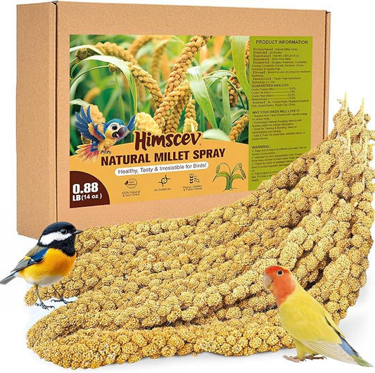 Sun-Dried Spray Millet for Birds - 0.88LBS Natural Non GMO, Healthy Millet Bird Treat, Bird Treats for Parakeets, Parrots, Cockatiels, Lovebirds, Finches & Canaries Food