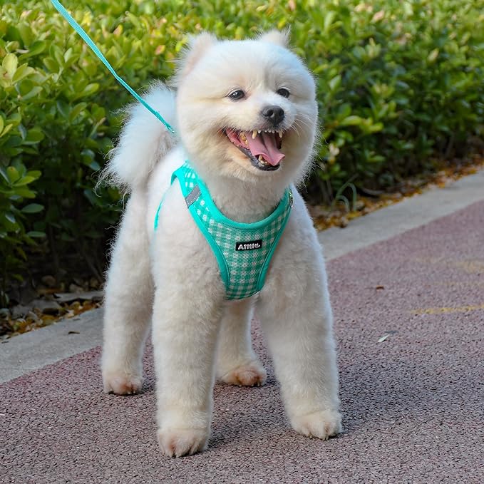 AIITLE Breathable Mesh Dog Vest Harness, No Pull Escape Proof Vest Harnesses with Reflective Bands, Adjustable Plaid Pet Outdoor Harnesses for Small and Medium Dogs Turquoise M