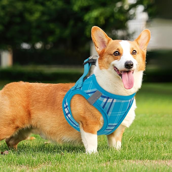 Athena Collection Small Dog Harness with 5 ft Leash, Step-in Dog Harness Leash Set Small No Pull Dog Vest Harness with Reflective Strips Adjustable Velcro, Easy Walk Puppy Harness, Blue