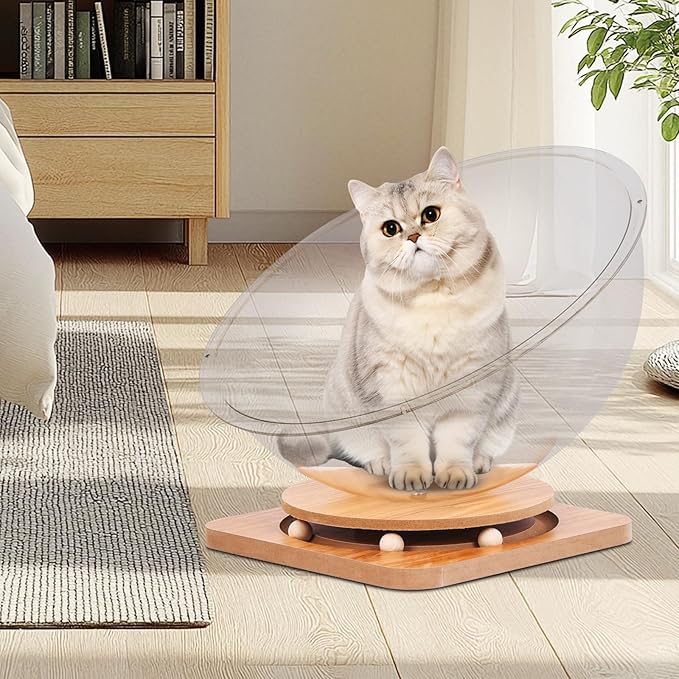 Doppy Space Capsule Cat Bed, Indoor Small Pets Kitten Sleeping Nest Pet Supplies Transparent Round Kitten House Activity Centre Bed Toy (Clear, S)