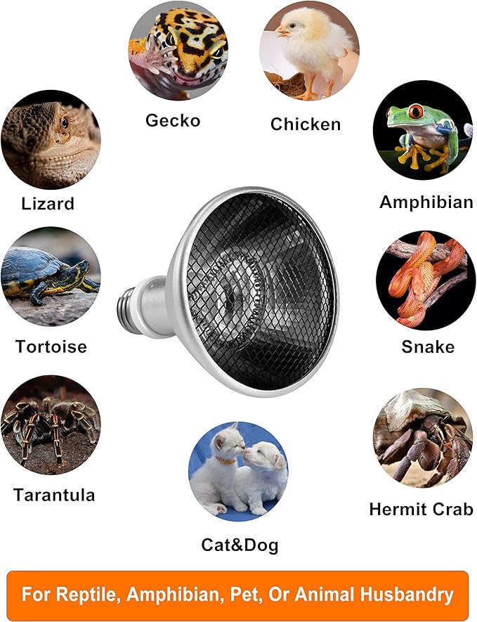 Deep Heat Projector - DHP 100W Infrared Reptile Heat Lamp Bulbs for Turtle Light Bearded Dragon Chicken Lizard Leopard Gecko Snake