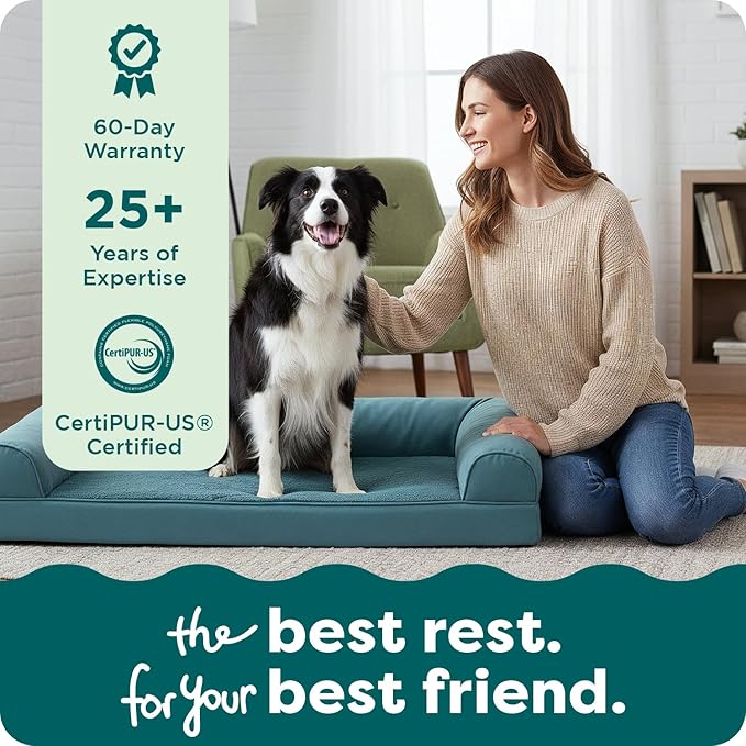 Furhaven Orthopedic Dog Bed for Large/Medium Dogs w/ Removable Bolsters & Washable Cover, For Dogs Up to 55 lbs - Plush & Suede Sofa - Deep Pool, Large