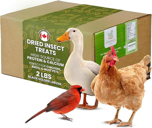 Dried Black Soldier Fly Larvae for Chicken - Treats for Hens, Duck, Wild Birds, Lizard, Tortoise, Fish - All Natural High Protein Dried Mealworms Alternative - Made in North America