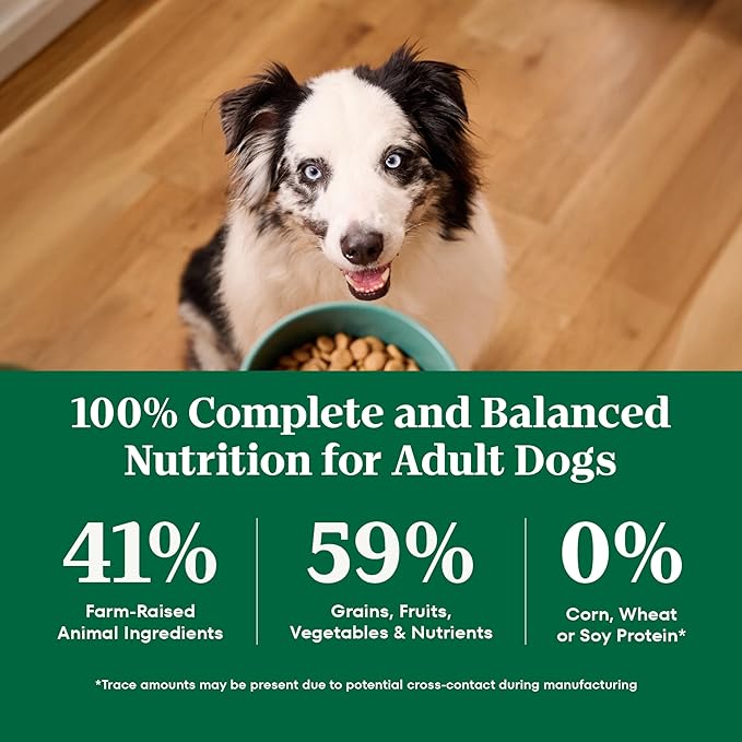 Nutro Natural Choice Beef & Brown Rice Adult Dry Dog Food Recipe, 28 lb. Bag