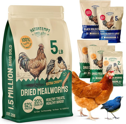 Hatortempt Chicken Feed Dried Mealworms - 5 Lb, Non-GMO & Organic - High-Protein Mealworms for Wild Birds & Ducks, Chicken Treats & Bird Food