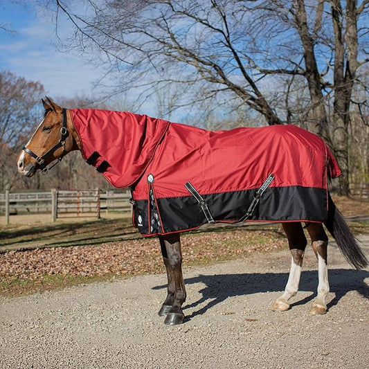 Equinavia Norse No Fill Horse Rain Blanket (0g) | Waterproof Lightweight Turnout Sheet - Black - 66 in - Plum Wine/Orchid Haze - 69 in