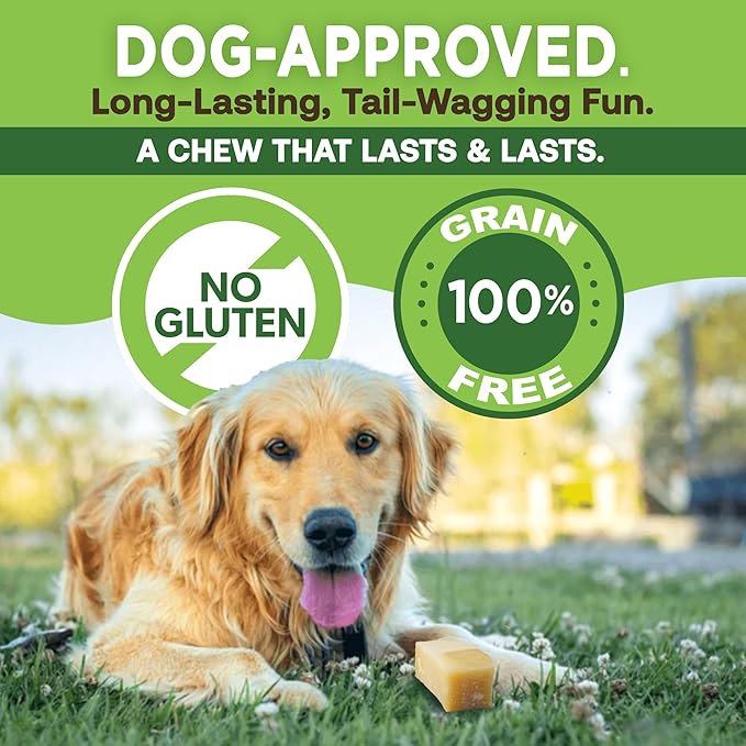 EcoKind Premium Gold Yak Cheese Himalayan Dog Chews, Healthy Dog Treats for Large Dogs, All Natural, High Protein Dog Chew, Water Buffalo, Large - 3 Chews