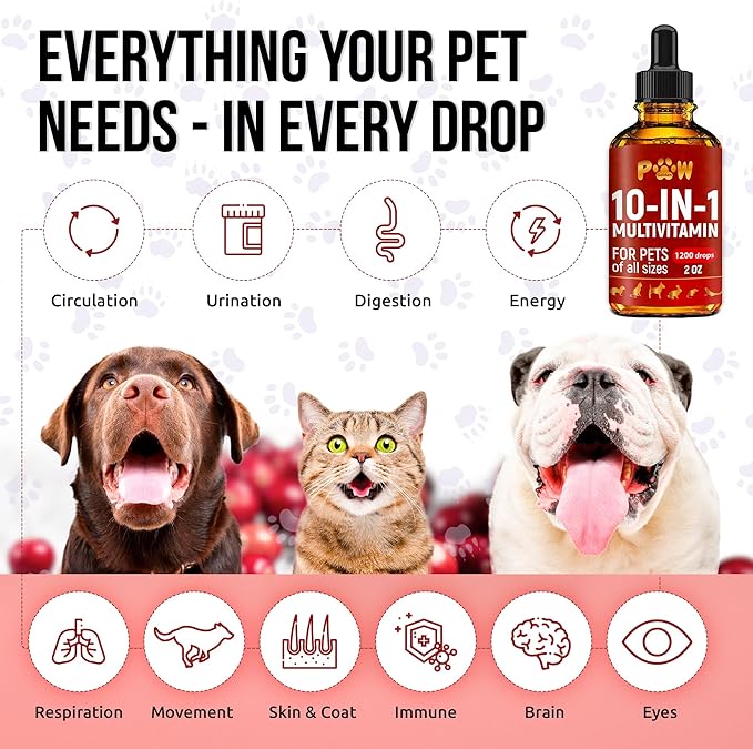 Cat Multivitamin B, C, & D3 – Liquid 10 in 1 Multivitamin for Dogs – Dog Vitamins and Supplements to Help with Allergies & UTIs – Cat Vitamins for Skin & Coat – Glucosamine for HIPS & Joints – 2 Oz