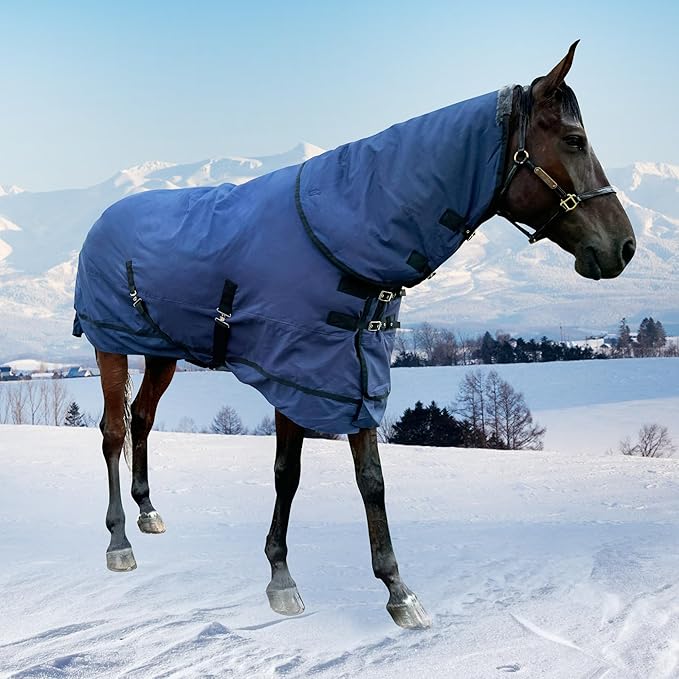 Horse Turnout Blanket | Medium Weight Horse Blanket with 1200D 280g Cotton Filling | Detachable Neck Cover & Belly Wrap (78in/145cm)
