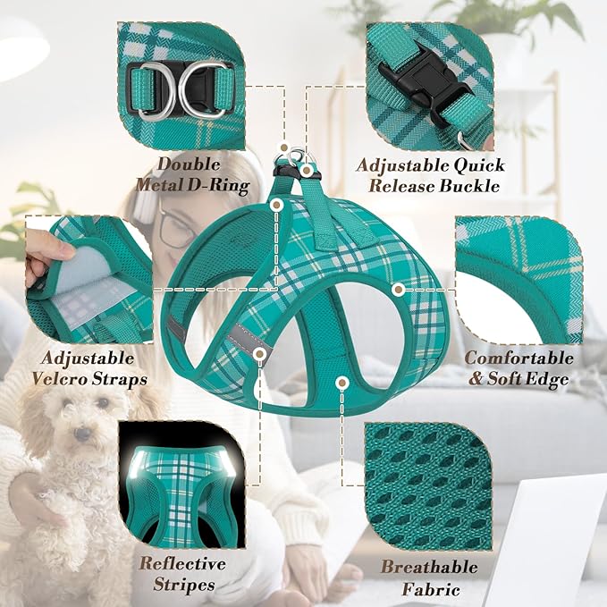 Athena Collection Step-in Dog Harness with 5 ft Leash, Medium Dog Harness Leash Set Large No Pull Dog Vest Harness with Reflective Strips Adjustable Velcro, Easy Walk Dog Harness, Green