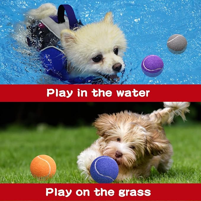 Yunsailing 30 Pcs Dog Tennis Balls Bulk 2.5 Inch Tennis Balls for Dogs Colored Mini Pet Toy Bulk for Large Medium Small Puppy Training Exercis