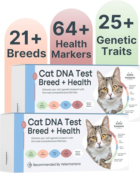 Basepaws Cat DNA Test Kit 2 Pack - 21+ Breeds, 114+ Health and Dental Traits for Comprehensive Accurate and Easy-to-Use Genetic Insights