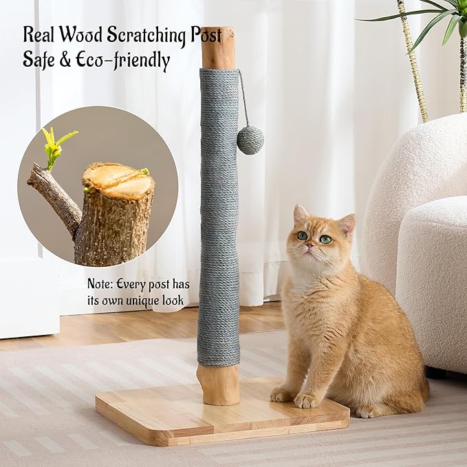 29" Tall Cat Scratching Post with Sisal Scratcher, Extra-Stable & Natural Solid Rubber Wood Base, Hanging Ball Toy for Indoor Cats Adults & Kittens, Gray