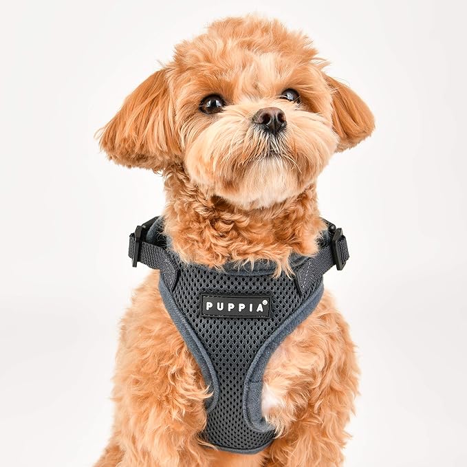 Puppia Authentic RiteFit Harness with Adjustable Neck, X-Large, Royal Blue