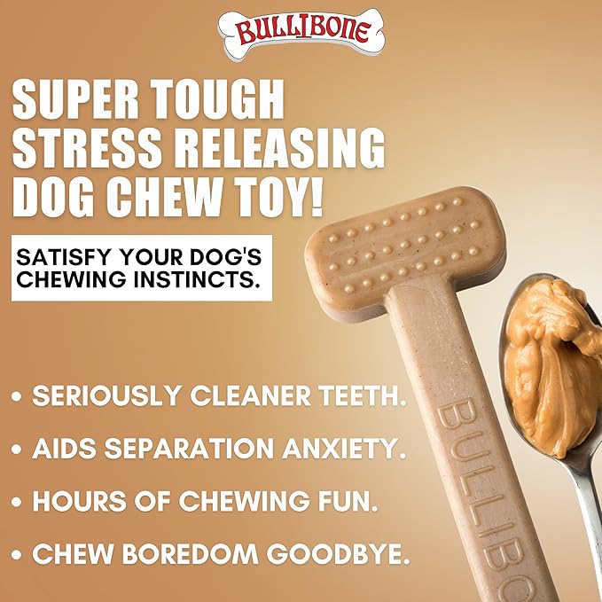 Bullibone Nylon Dog Chew Toy Nylon Bone - Improves Dental Hygiene, Easy to Grip Bottom, and Permeated with Flavor (Peanut Butter, XL - Single)