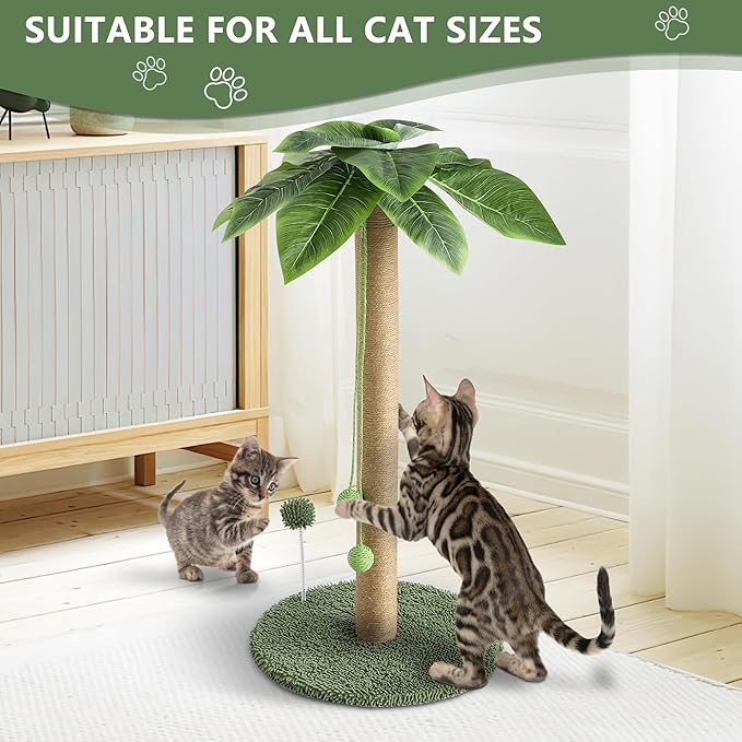 KIGOTY Cat Scratching Post Cat Scratcher, 33 inch Tall Scratching Post with Sisal Rope,Cute Cat Tree with Hanging Interactive Ball, Spring Ball Toys