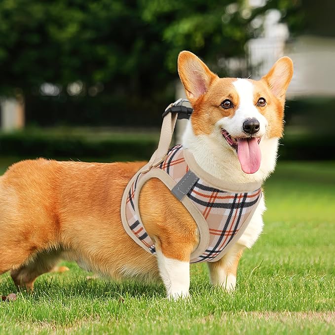 Athena Collection Step-in Dog Harness with 5 ft Leash, Small to Medium Dog Harness Leash Set Medium No Pull Dog Vest Harness with Reflective Strips Adjustable Velcro, Easy Walk Puppy Harness, Beige