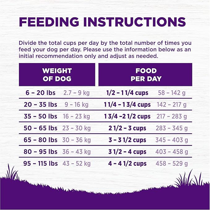 Wellness Natural Pet Food Complete Health Natural Dry Senior Dog Food, Chicken & Barley, 5-Pound Bag